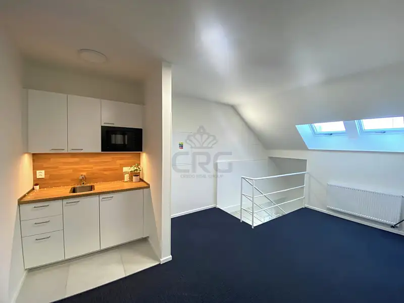Pronájem komerčního prostoru, 167 m², Brno-město, Brno